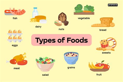 fkkdn|types of food.